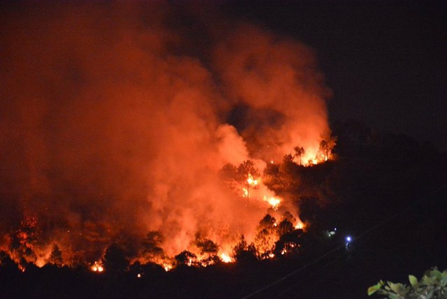 
Ngọn lửa đã thiêu rụi gần 6ha rừng trong đêm. Ảnh: M. Trọng
