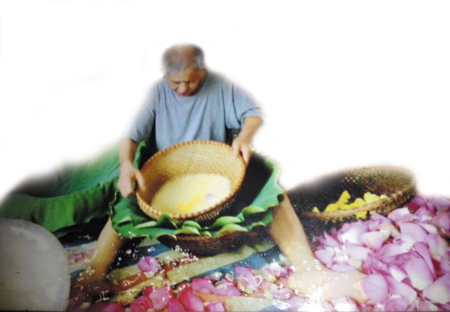 Nghệ nhân Xiêm miệt mài trong công đoạn nhặt gạo sen. Ảnh: MT