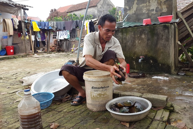 Anh Trắm đang phân loại mớ trai mò được từ sáng để đem bán. Ảnh: H.M