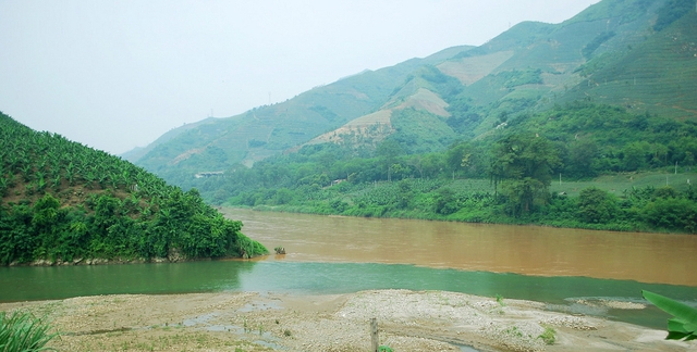 Nơi dòng Lũng Pô (bên trái) hòa vào với sông Hồng. Ảnh: P.B