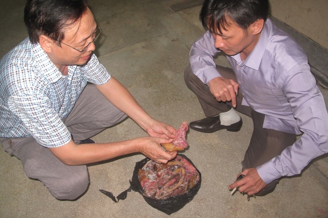 Chi cục ATVSTP Nam Định và PC49 (Công an Nam Định) kiểm tra thịt lợn không rõ nguồn gốc. Ảnh: Lê Lợi
