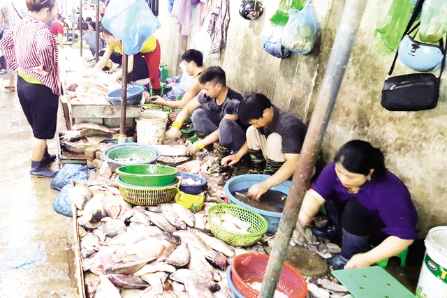 Cá ươn được các tiểu thương sơ chế ngay trên nền xi măng bẩn thỉu và rửa qua bằng chậu nước đã bốc mùi. Ảnh: Cao Tuân