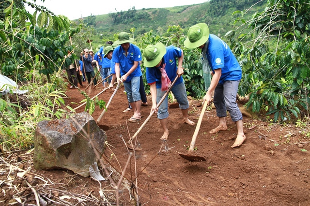 Trang bị kiến thức nhằm đảm bảo an toàn tuyệt đối bản thân là hành trang quan trọng của những tình nguyện viên. Ảnh: T.L