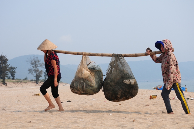 Do không còn cá để đánh bắt và người tiêu dùng không mua cá biển nên hàng loạt gia đình cất lưới, nghỉ ra khơi.