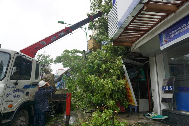 
Làm hỏng nóc nhà và nhiều biển quảng cáo của các cửa hàng đối diện
