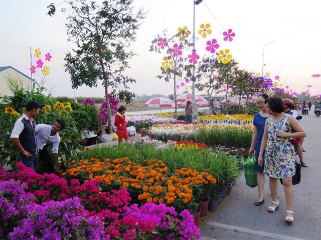 Người d&acirc;n thưởng l&atilde;m c&aacute;c loại hoa tết tại Chợ hoa Xu&acirc;n B&igrave;nh Điền 2016 v&agrave;o tối 2/2.
