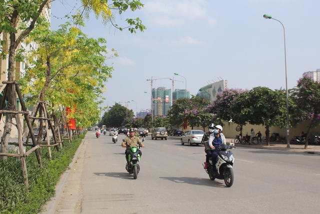 
Hoàng yến khiến cho Hà Nội trở nên mơ mộng hơn.
