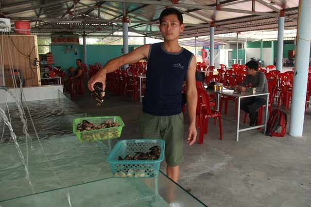 
Một chủ nhà hàng cho biết, từ khi có hiện tượng cá chết hàng loạt, nhà hàng của anh hầu như không có khách lui tới. Chủ nhà hàng này cho biết thêm, mọi năm tầm thời gian này, quán của anh đã rất nhộn nhịp, khách ra vào thường xuyên, nhưng năm nay lượng khách rất ít. Anh đã bỏ ra rất nhiều tiền để sửa sang lại quán và thuê nhân viên, nhưng với tình trạng này anh đang lo mình không lấy lại được vốn. Tôi chỉ mong các cơ quan chức năng sớm tìm ra nguyên nhân để cho chúng tôi sớm ổn định kinh doanh, anh này cho biết thêm.
