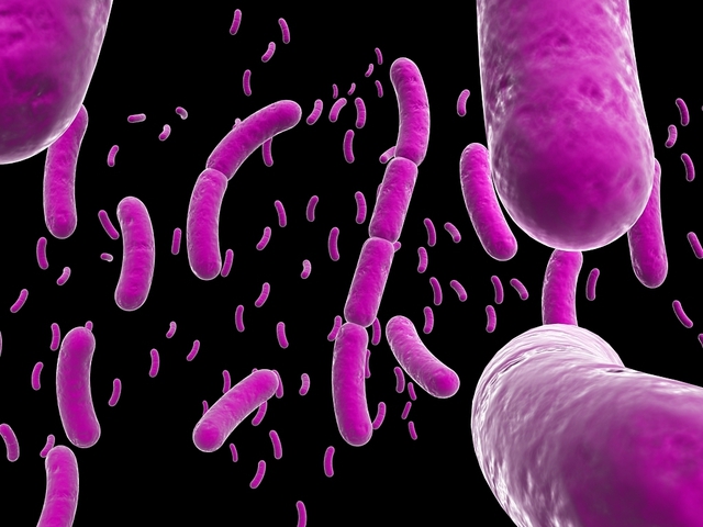 Lợi khuẩn có trong chế phẩm sinh học giúp bạn xua tan căng thẳng