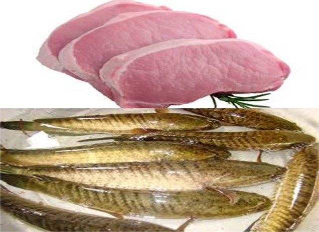 
Thịt, cá nếu sục lâu trong máy sục ozone sẽ làm mất chất dinh dưỡng. Chỉ nên sục nhanh để khử mùi. Ảnh minh họa
