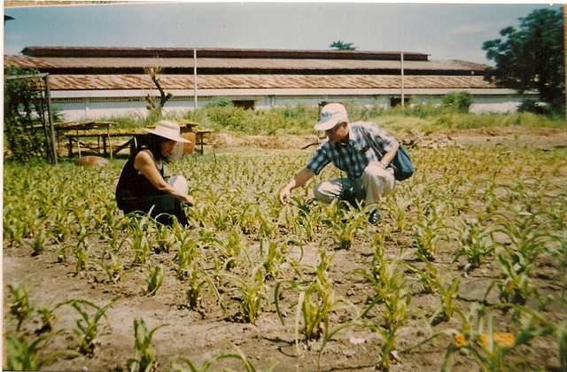 
TSKH. Trần Công Khánh và TS. Nguyễn Thị Ngọc Trâm tại vùng trồng Trinh nữ hoàng cung năm 1998
