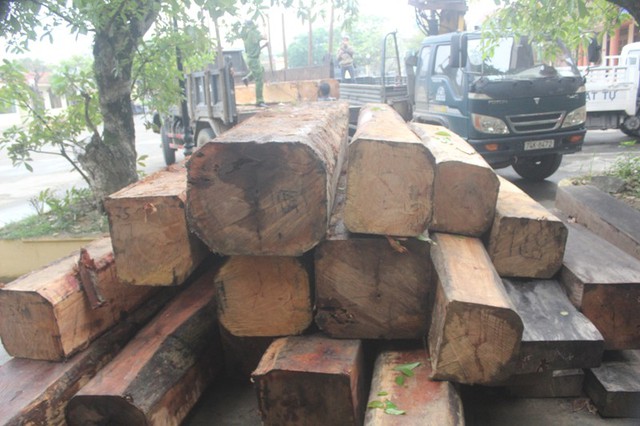 Số gỗ tang vật được lực lượng chức năng thu giữ. Ảnh: L.Chung