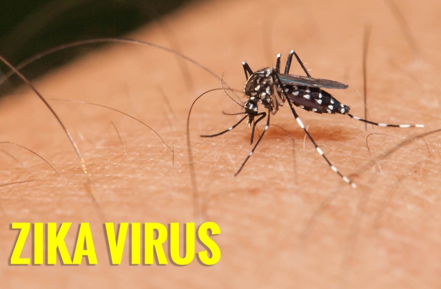 
Đã có thêm một ca dương tính với virus Zika tại Phú Yên. Ảnh minh họa
