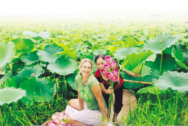 Bác Hiền (bên phải) - vợ Nghệ nhân Ngô Văn Xiêm thường phải dậy từ sáng sớm để hái hoa sen.