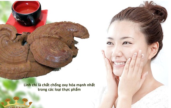 10 lợi ích sức khỏe khi sử dụng nấm linh chi   2