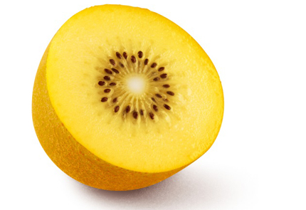 Kiwi Zespri® SunGold – trái cây cho gia đình năng động 1 Kiwi Zespri® SunGold – trái cây cho gia đình năng động 1