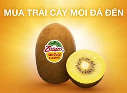 Kiwi Zespri® SunGold – trái cây cho gia đình năng động 3 Kiwi Zespri® SunGold – trái cây cho gia đình năng động 3