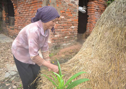 Đói lòng cậu bé mồ côi nửa năm không biết đến miếng thịt 8