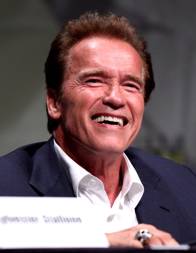 Những hình ảnh khoả thân của Arnold được lộ ra khi Arnold Schwarzenegger ứng cử Thống đốc bang California, buộc Arnold phải thừa nhận: Vâng, đó là những hình ảnh của tôi. Con người ai không có những sai lầm của mình chứ. Nhất là khi chúng ta còn trẻ.Đến nay, Arnold đã đóng hơn 30 bộ phim lớn nhỏ khác nhau.