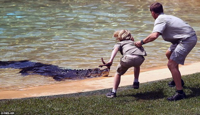 Robert đối mặt với con cá sấu