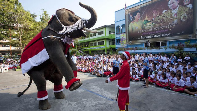 Christmas in Thailand