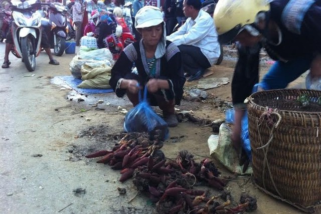 “Nấm ngọc cẩu” được bán rất nhiều ở các phiên chợ vùng cao.  	Ảnh: P.V