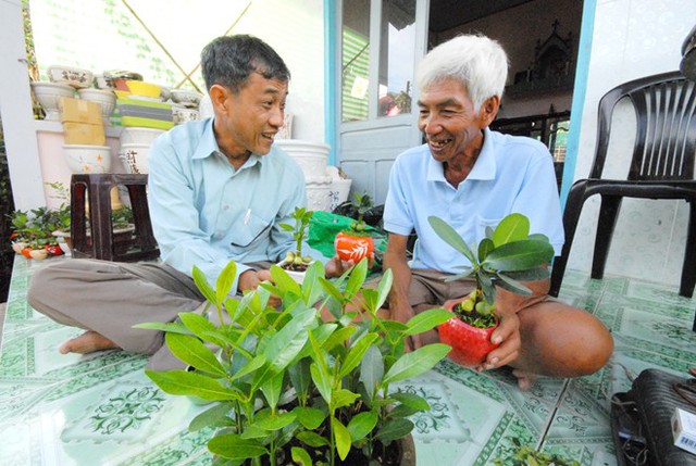 2 vựa hoa kiểng lớn nhất miền Tây chạy đua vào vụ Tết