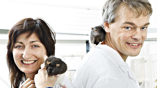 Đồng vợ, đồng chồng, Edvard và May-Britt Moser cùng nhau thăng hoa cả trong tình yêu lẫn khoa học - Ảnh: news.com.au