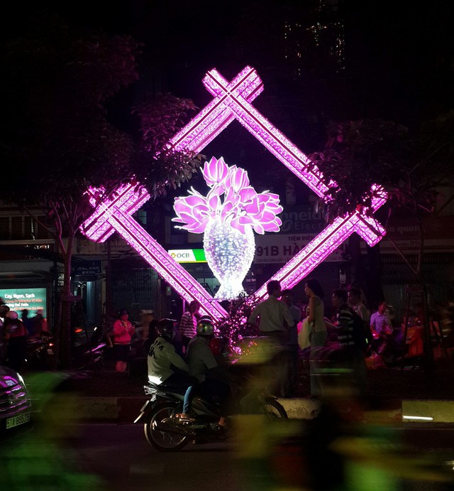 Hoa sen là Quốc hoa của Việt Nam tại đường đèn Hàm Nghi.