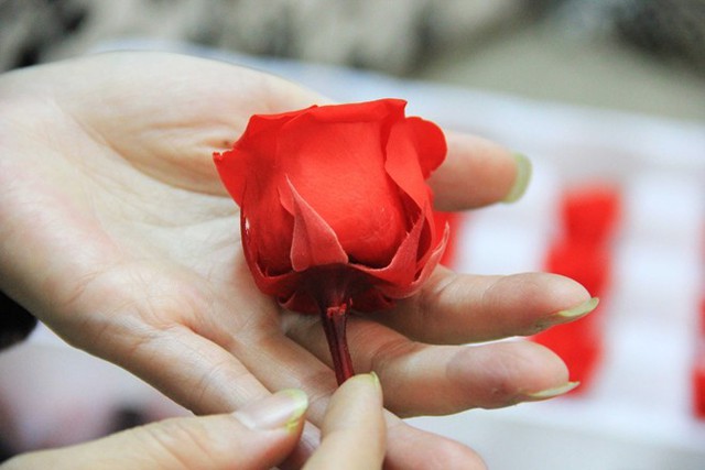 Hoa tươi Đà Lạt được sấy khô và nhuộm màu, có giá khá đắt 20.000 - 80.000 đồng/ bông. Ảnh: Ngọc Lan.