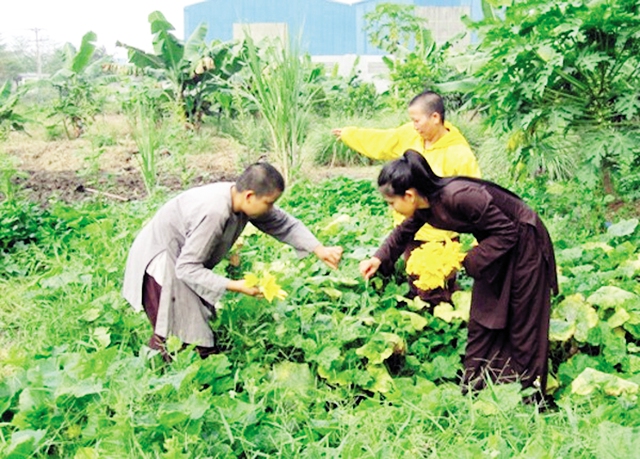 Trương Thị May (phải) trong một lần làm công quả ở chùa. 	Ảnh: TL