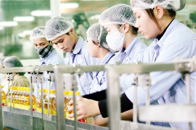 Năng suất lao động thấp là một trong những nguyên nhân dẫn đến thu nhập thấp.	Ảnh: Việt Nguyễn