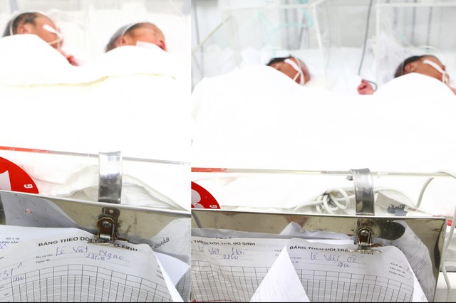 Bốn cháu bé đang được theo dõi, chăm sóc tại Trung tâm Chăm sóc và điều trị sơ sinh, Bệnh viện Phụ sản Trung ương.