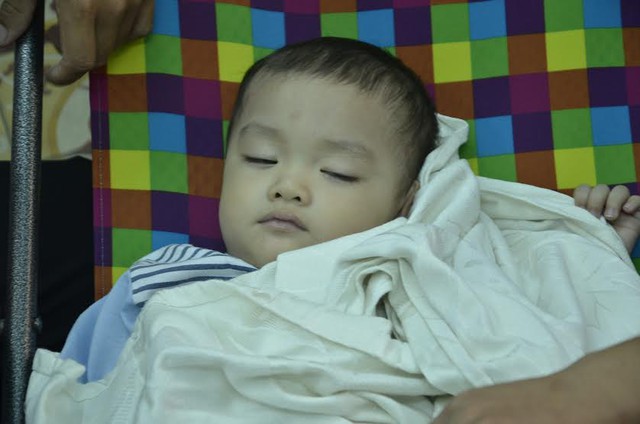 Giấc ngủ bình yên của bé Bo trong sự chăm sóc của mọi người tại UBND phường 1, quận 8, TPHCM