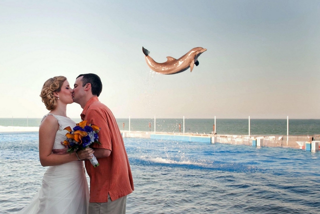 Alexis và Steve Espey kết hôn vào đầu năm nay và đã tận hưởng lễ kỷ niệm cho ngày cưới của mình tại Marineland Dolphin Adventure tại St. Augustine, Mỹ. Cả hai đã vô cùng kinh ngạc khi xem lại bức ảnh cưới của mình và phát hiện thấy một chú cá heo đã cố gắng nhảy lên và chiếm vị trung tâm trong những bức ảnh cưới của họ.