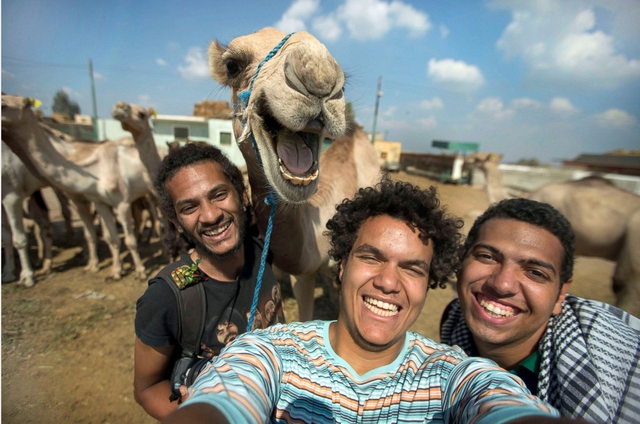 Một nhóm bạn bè đã dành nhiều giờ trong sa mạc và cho lạc đà ăn trước khi chụp bức ảnh “tự sướng” cười thật tươi cùng chú lạc đà. 