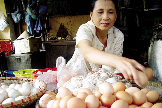 Trứng gà là loại thực phẩm bổ dưỡng, tuy nhiên nếu ăn quá nhiều sẽ nguy hại cho sức khỏe. 	Ảnh: Chí Cường