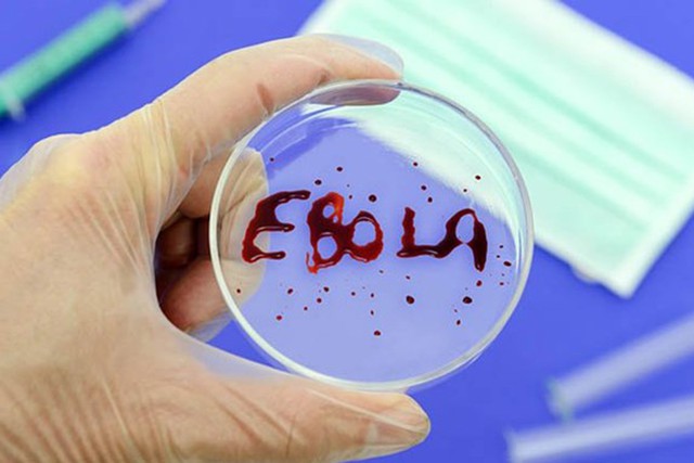Ngành Y tế Việt Nam đang chuẩn bị cho một kế hoạch diễn tập phòng chống dịch Ebola lớn nhất từ trước đến nay. Ảnh: minh họa