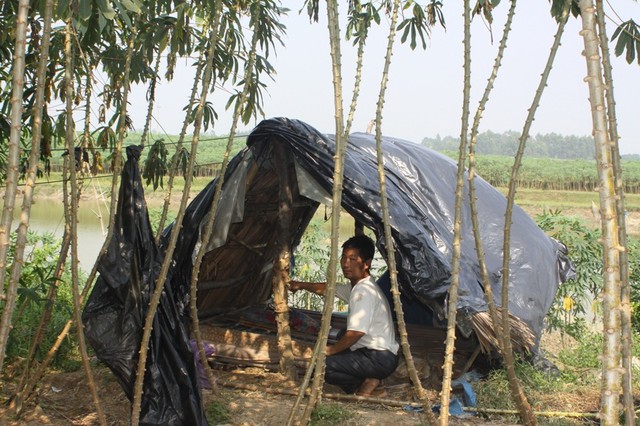 Lều trông ao cá, nơi bị tình nghi là hiện trường hung thủ ra tay sát hại anh Hào