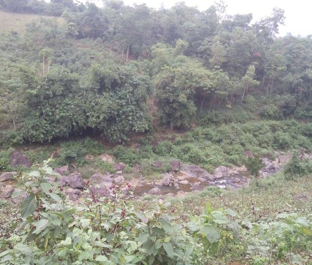 Con suối tại xã Vĩnh Tiến, nơi nạn nhân bị cưỡng hiếp. Ảnh: Xuân Thắng