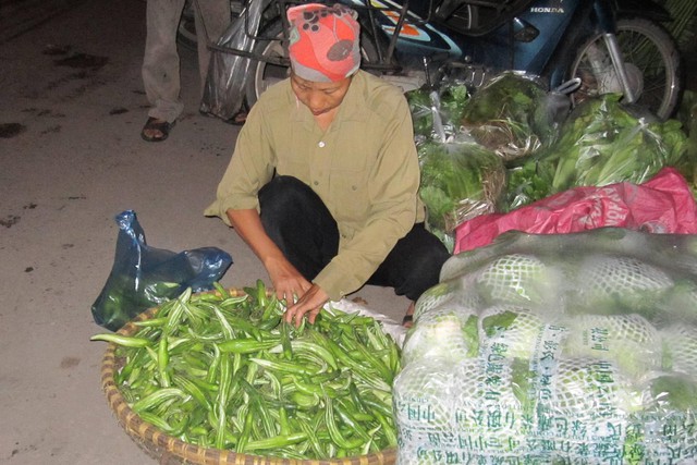 Bắp cải trong bịch toàn chữ Trung Quốc. 	Ảnh: M.H