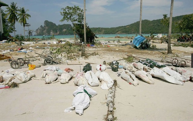 Những thi thể được để trong bao nằm la liệt trên phố chờ đợi để được thuyền chuyển đi từ làng Phi Phi đến Phuket và Krabi hôm 28/12/2004.
