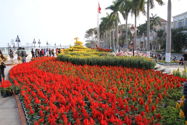 Chiều tối ngày 9/2, đường hoa Xuân Bạch Đằng - Đà Nẵng 2015 đã cơ bản hoàn thành, chính thức đón du khách và người dân thưởng ngoạn.