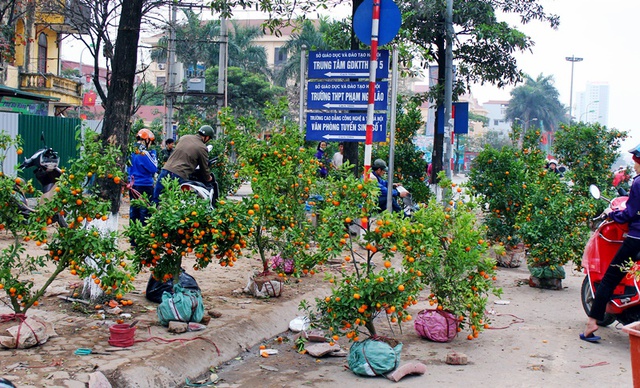 Chợ hoa trên tuyến phố Mai Dịch