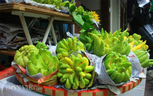 phật thủ, rằm tháng bẩy, cúng, phật-thủ, rằm-tháng-bảy, tháng-cô-hồn