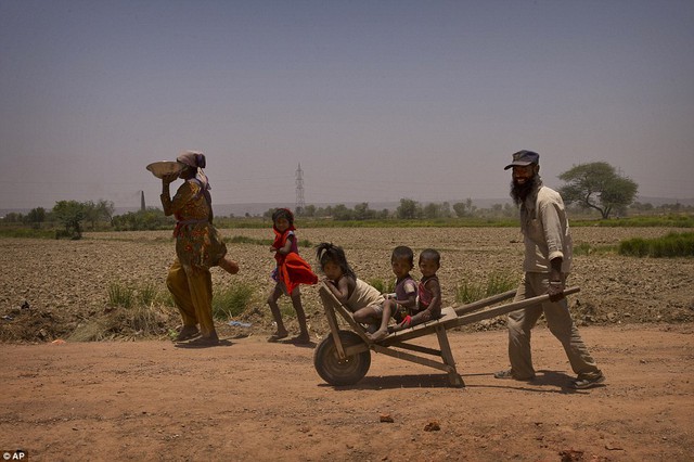 A labourer pushes his children on a handcart back towards his workplace during a break, past parched fields in Ghasera, on the outskirts of New Delhi