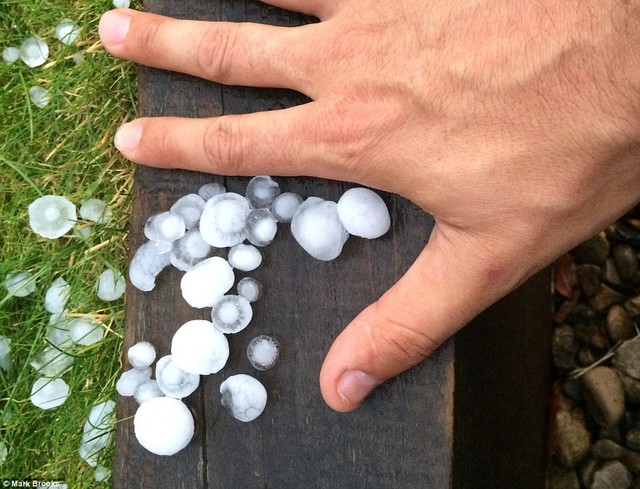 Bigger than a 5p coin! Large hailstones hit County Durham overnight, with forecasters warning of further showers today and tomorrow