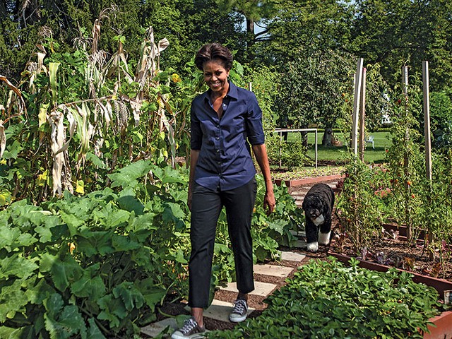 DOWN VEGGIE LANE photo | Bo Obama, Michelle Obama