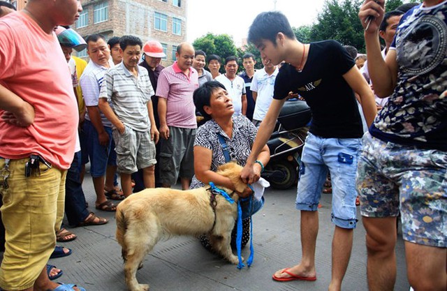 Người bảo vệ động vật ngăn lễ hội thịt chó ở Trung Quốc