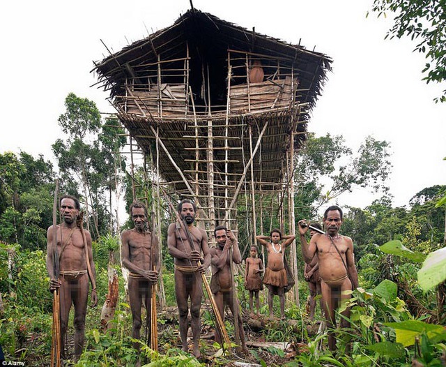 Người Korowai sống ở những ngôi nhà trên ngọn cây cao từ 12 tới tận 40 mét.